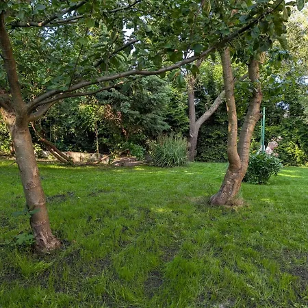 公寓 70m Mieszkanie W Domu Jednorodzinnym Do 8 Osob, Darmowy Parking, Atrakcje Dla Dzieci, Balkon, Duzy Ogrod