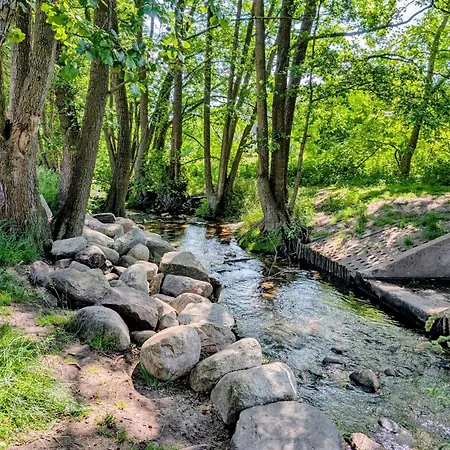 Daire 70m Mieszkanie W Domu Jednorodzinnym Do 8 Osob, Darmowy Parking, Atrakcje Dla Dzieci, Balkon, Duzy Ogrod *